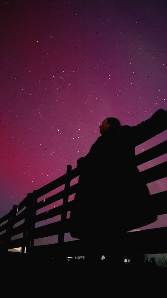 Photograph by Алина Сулейманова