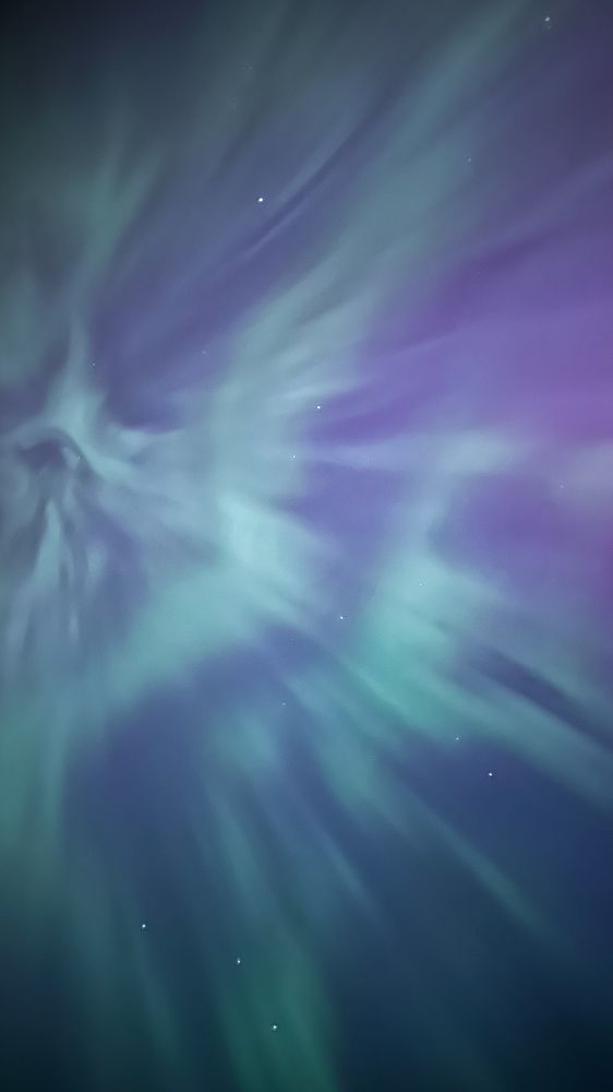 Photograph by Алина Сулейманова