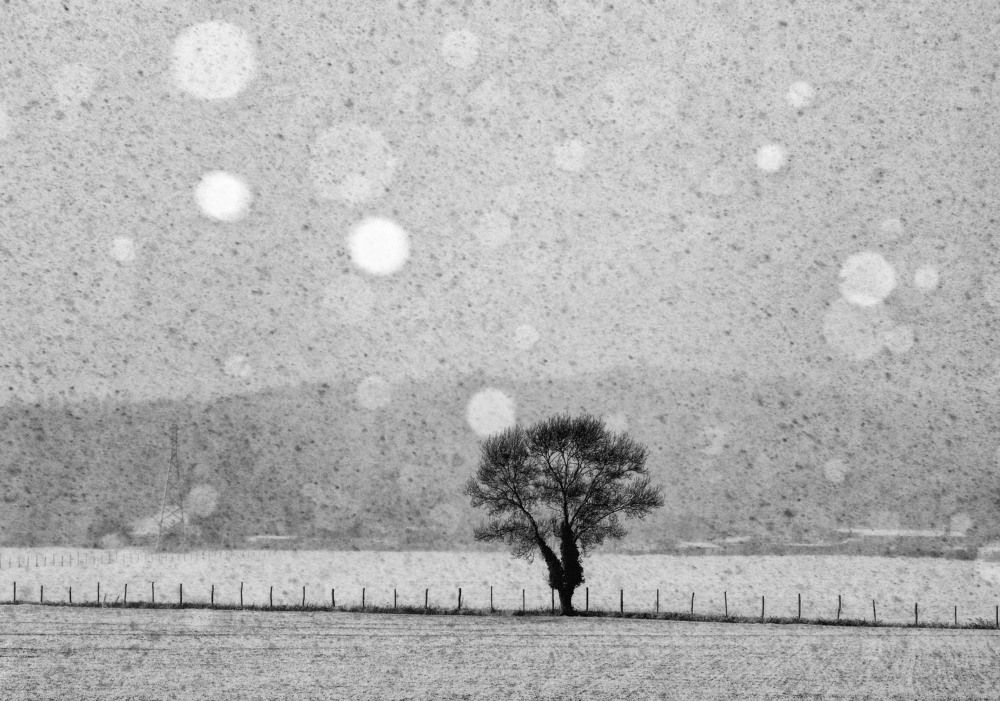 Photograph by Bekir Yesiltas