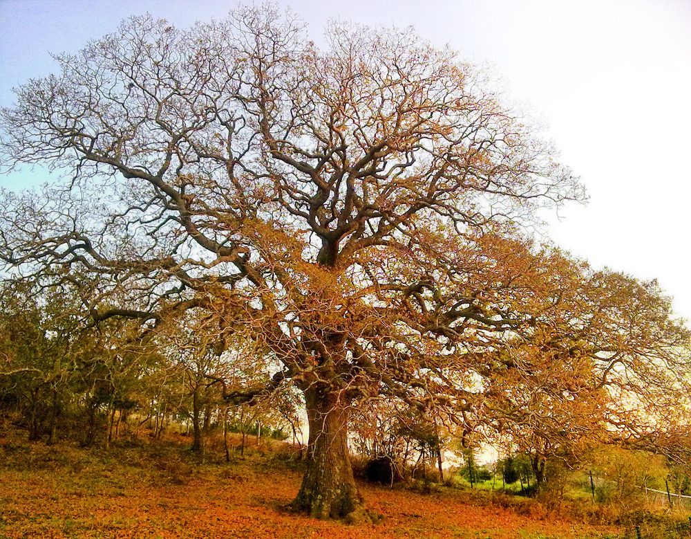 Photograph by Bekir Yesiltas