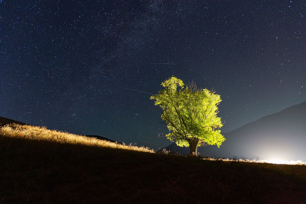 Photograph by Алексей Литвинов