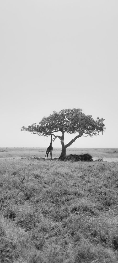 Photograph by binoy james