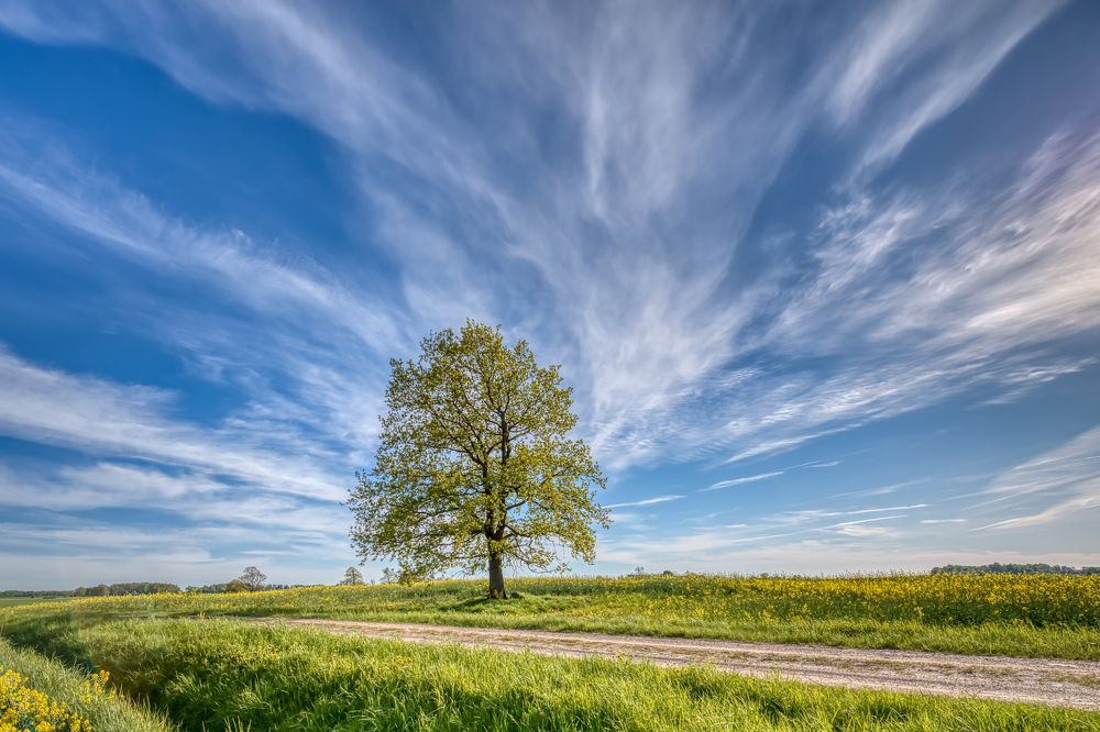 Photograph by Albina Kulikova