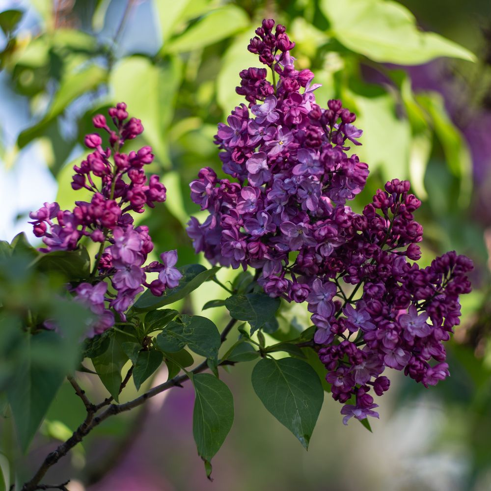 Photograph by Роман Шаров