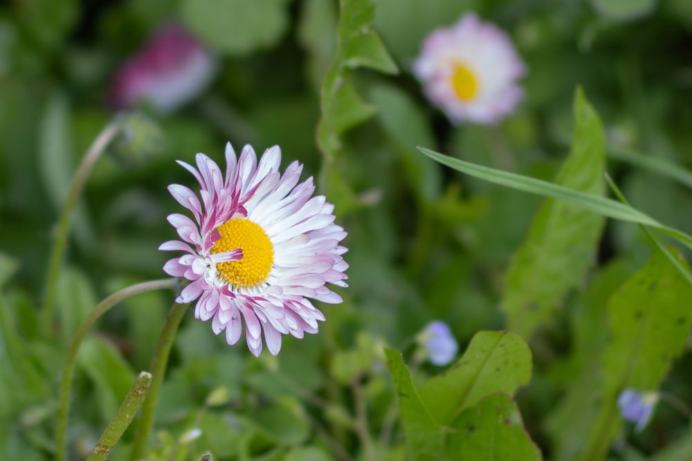 Photograph by Роман Шаров