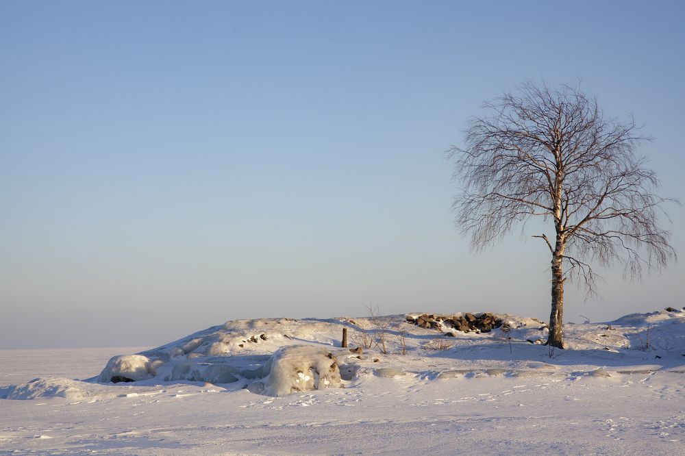 Белая пустыня озера.