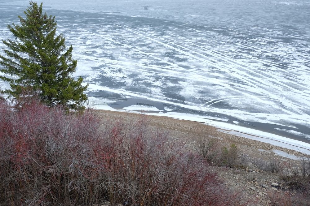 Photograph by Екатерина Хозяшева