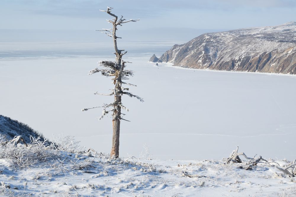 Photograph by Хазан Сергей