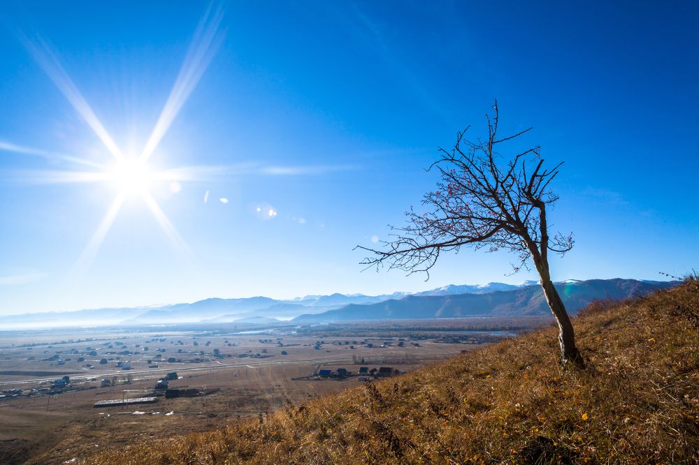 Фотография автора Иван Губанов