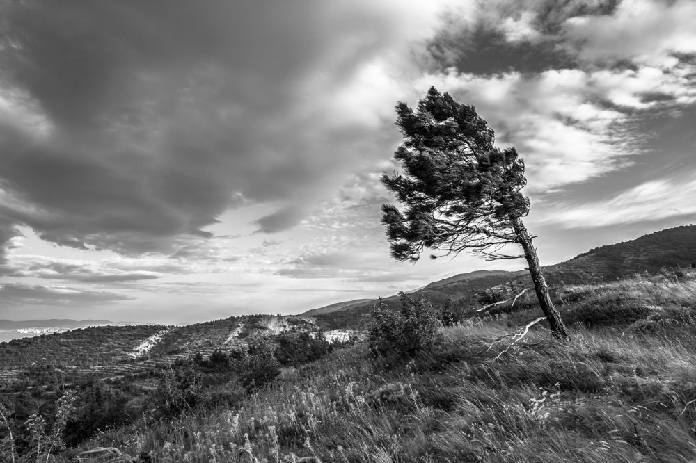 Фотография автора Иван Губанов