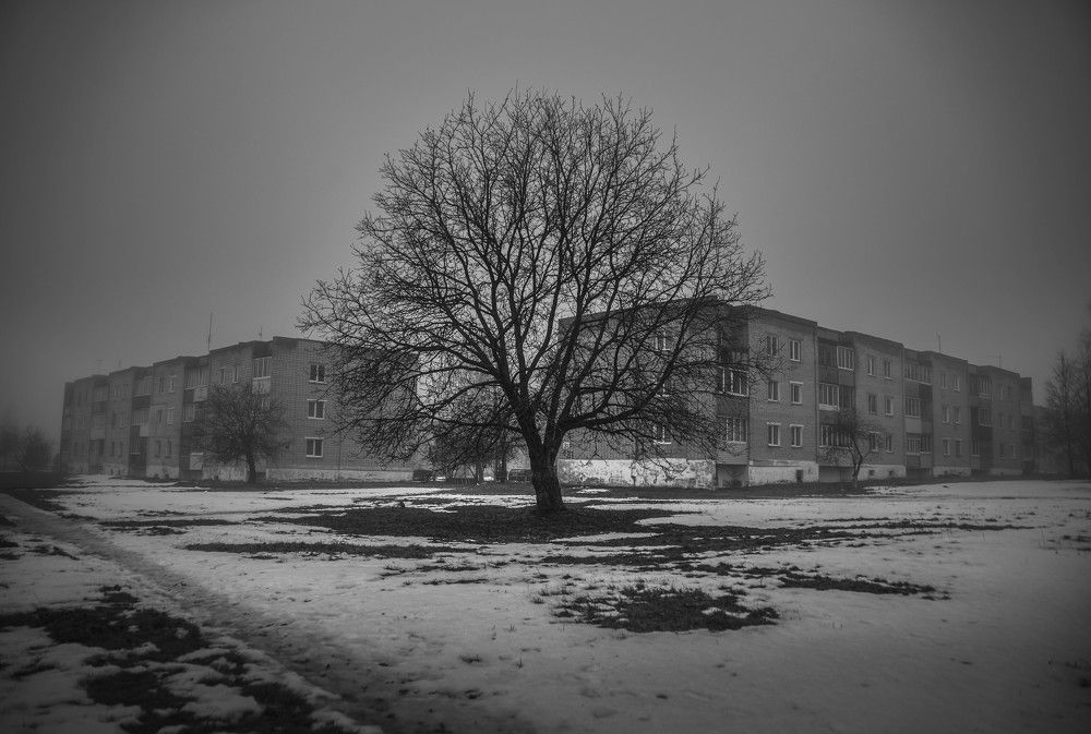 Photograph by Sergej