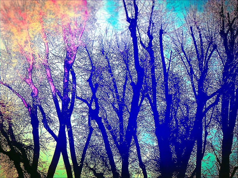 Фотография автора Anila Ismailaj