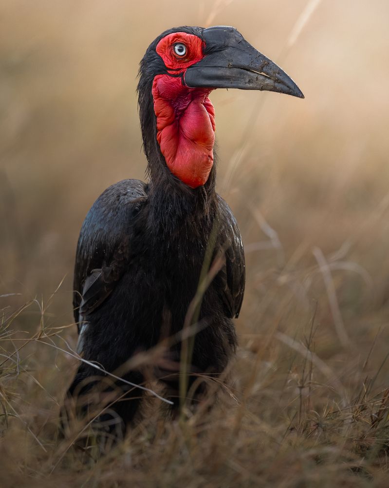 Photograph by Ahmed Sobhi