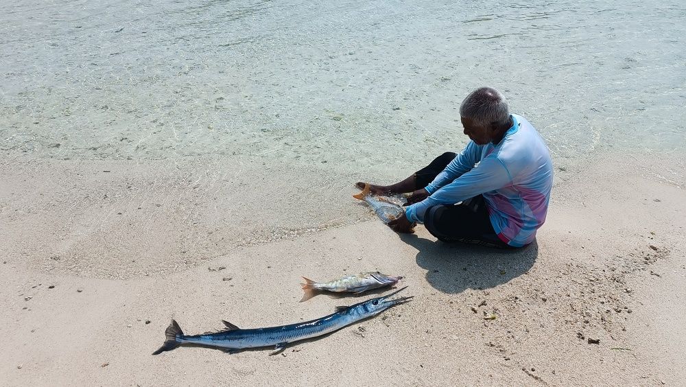 старик и море.