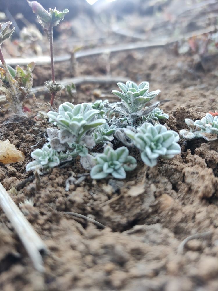 Фотография автора Ranjit pawar