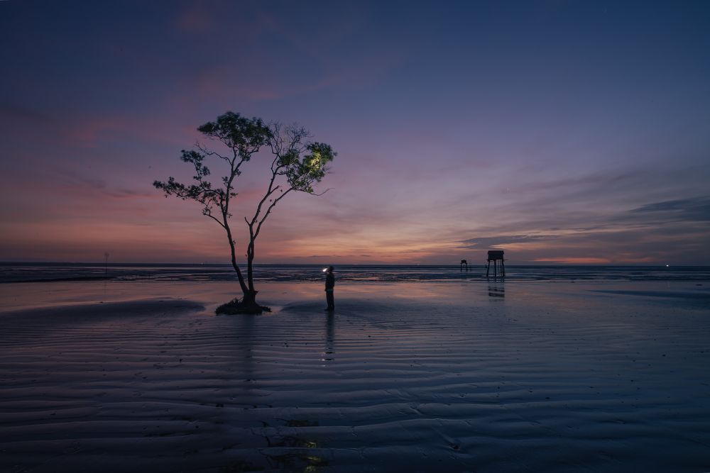 Photograph by Nguyen