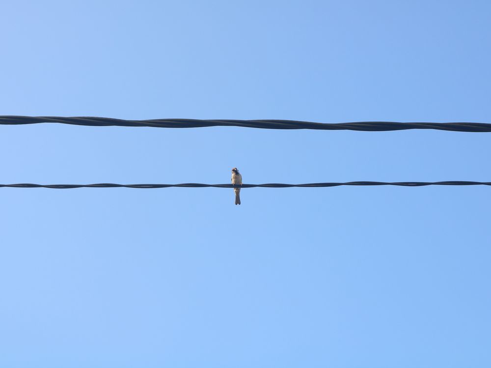 Photograph by Deasy Junita Dhani Hidayana