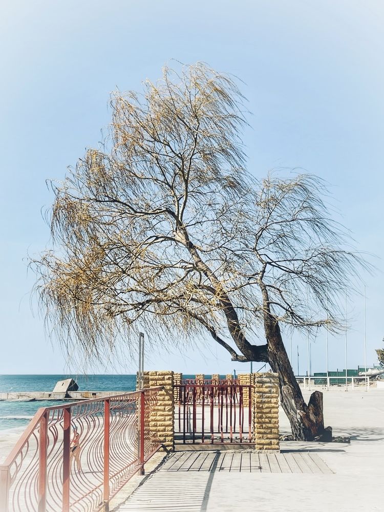 Photograph by Мария Ковригина