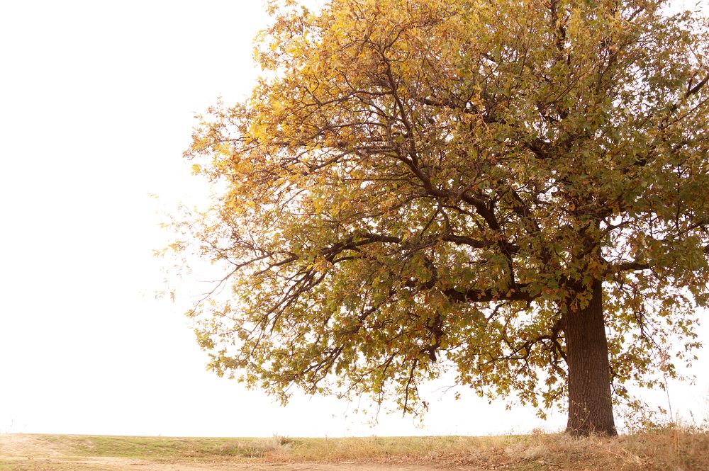 Photograph by Демьянович Вадим Николаевич