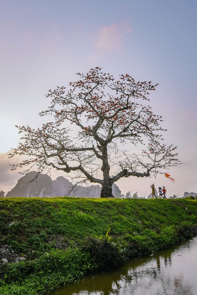 Photograph by NAM BUI