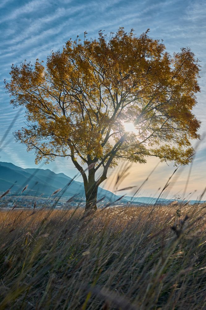 Выше пафоса