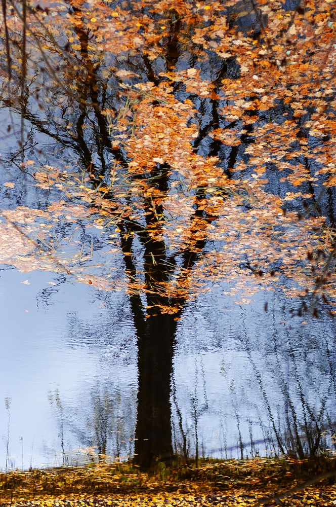 Фотография автора Олег Анатольевич Загорулько