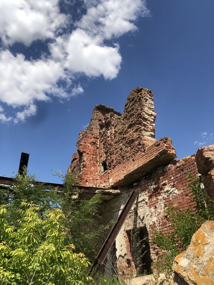 Фотография автора Светлана Гончарова