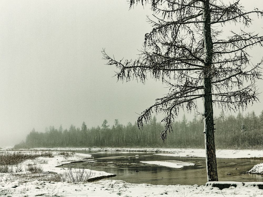 Photograph by Константин Терёхин