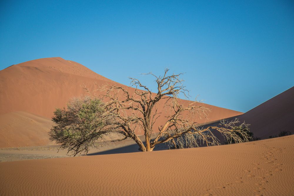 Photograph by Malinda Badenhorst