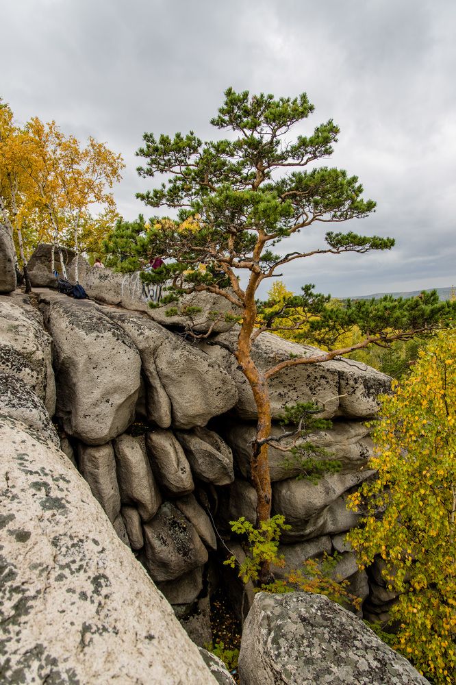 Photograph by Максим Фролов