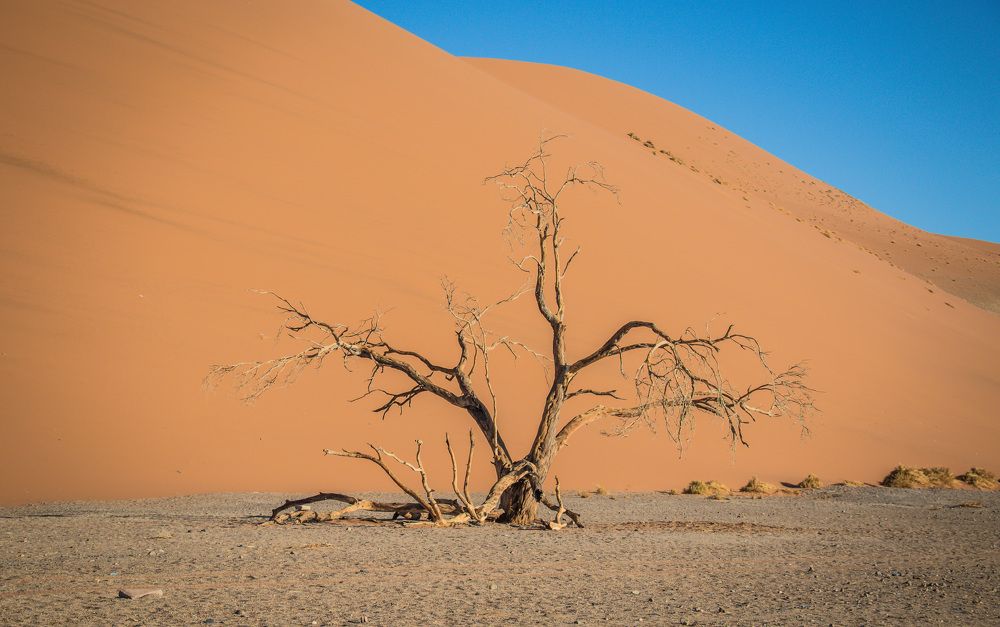 Photograph by Malinda Badenhorst