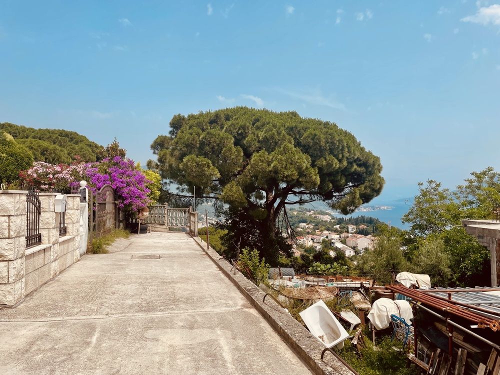 Photograph by Eastpearl