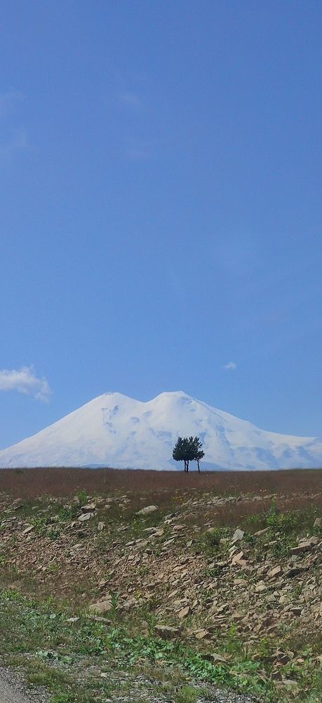 Photograph by Олег Карданов