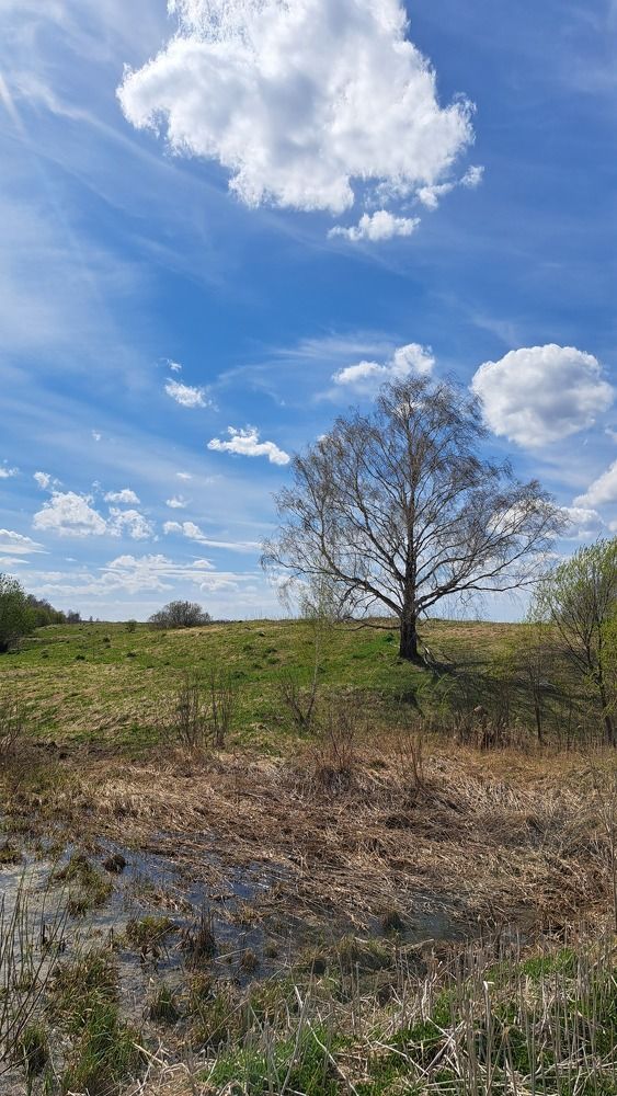 Photograph by Валентина Нохрина