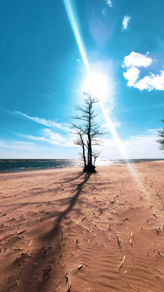 Photograph by Peshehod_ Plus