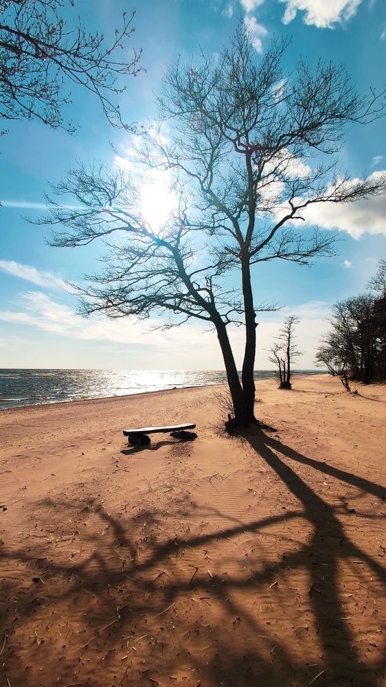 Photograph by Peshehod_ Plus