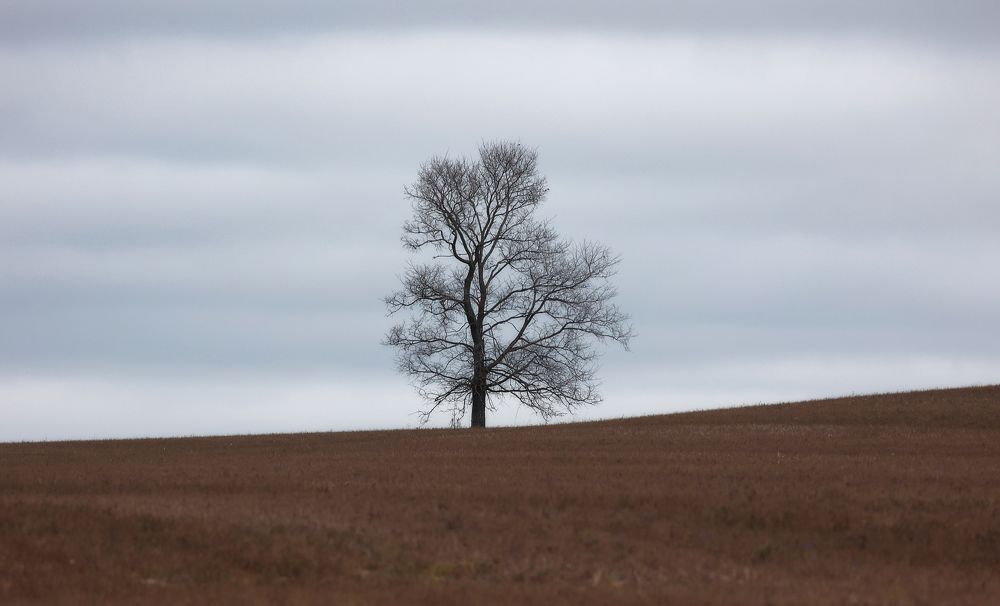 Photograph by Алексей Широбоков