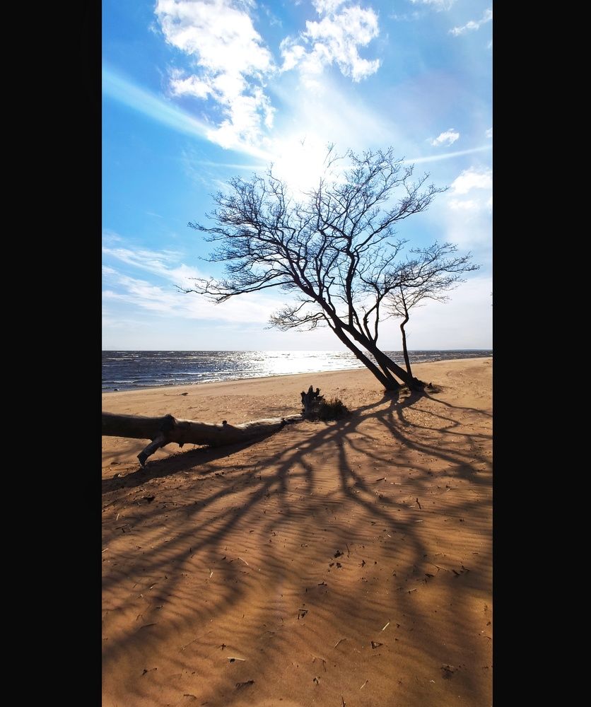 Photograph by Peshehod_ Plus