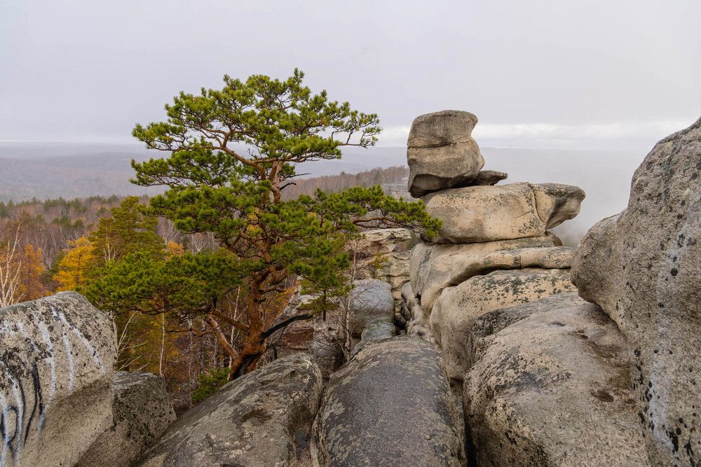 Photograph by Максим Фролов