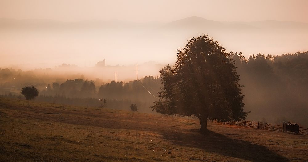 Fog over the valley