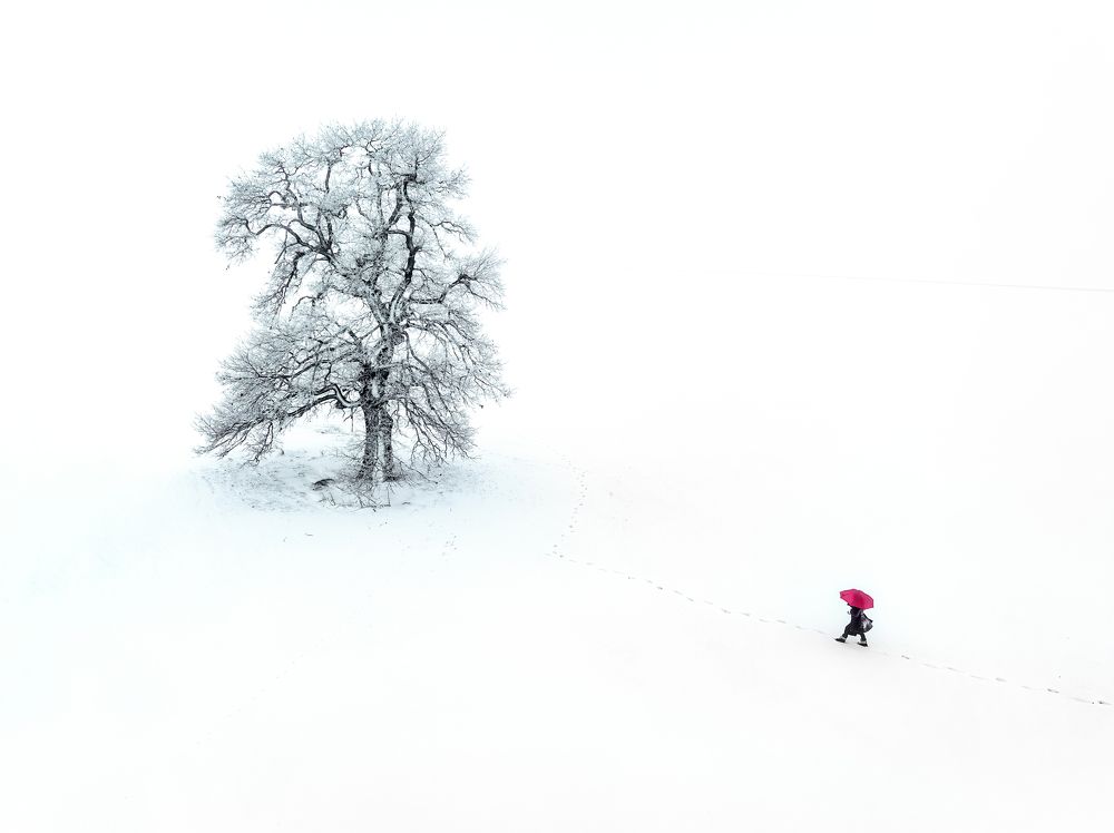 Photograph by MARIAN PLAINO