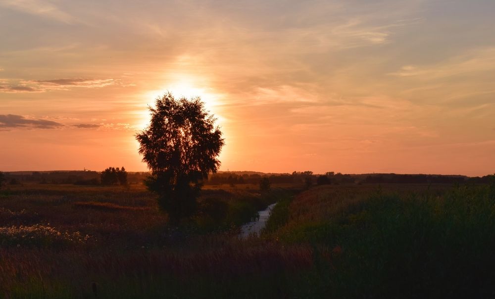 Подмосковье. Жаркий вечер