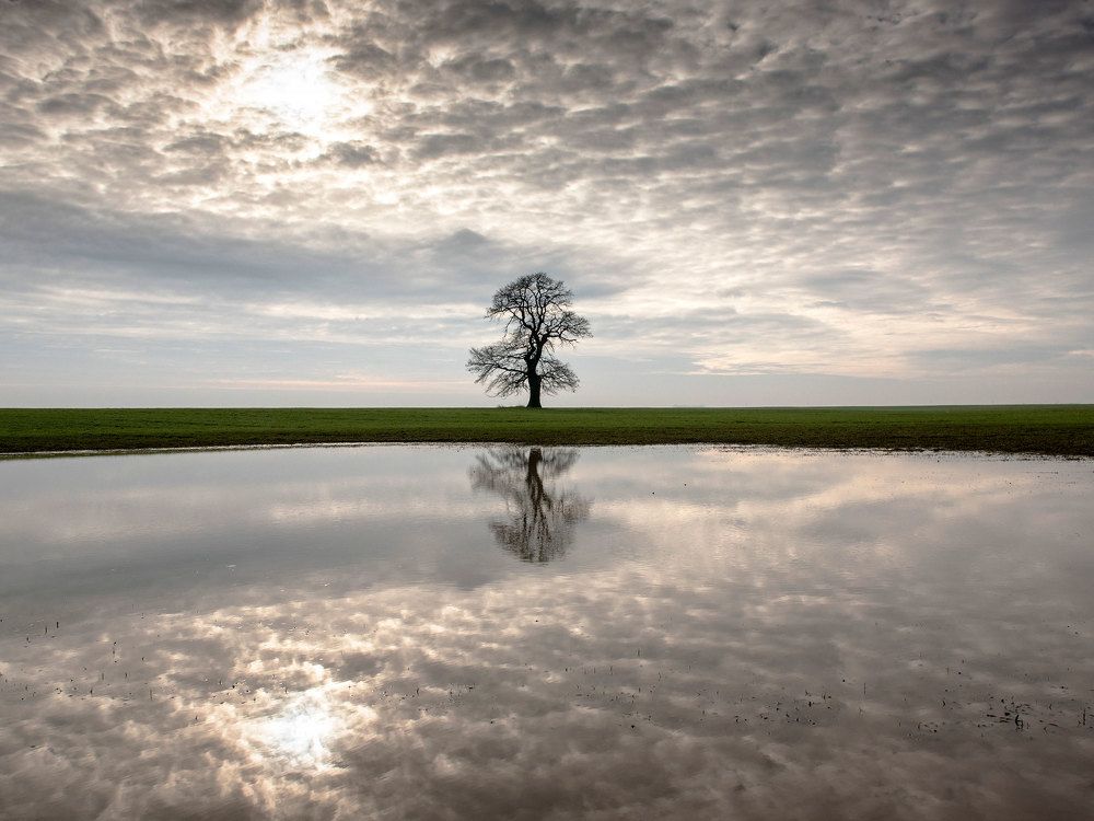 Фотография автора MARIAN PLAINO