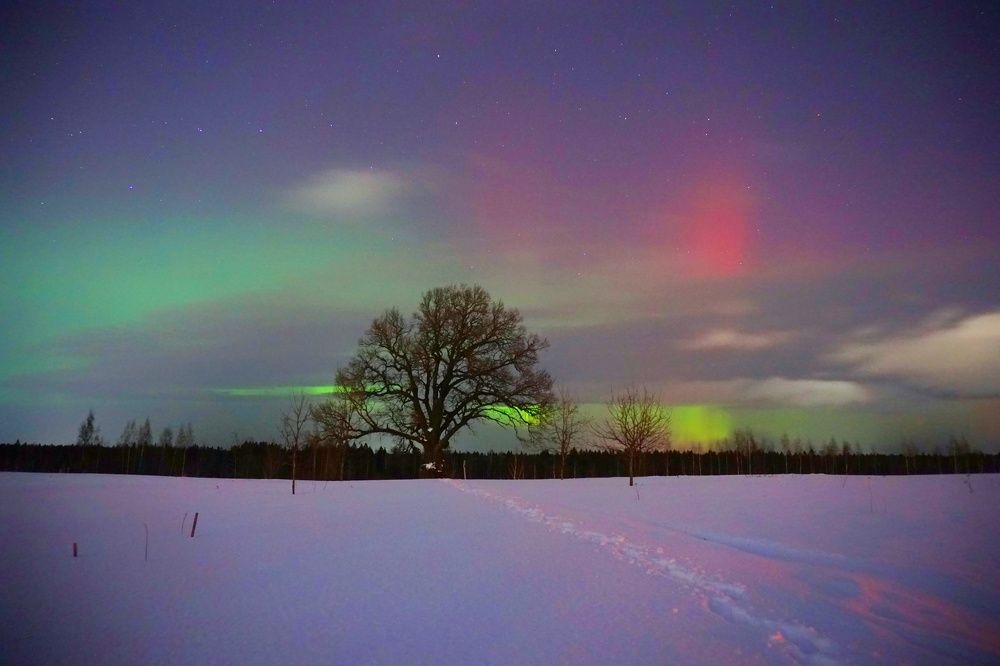 Photograph by Peshehod_ Plus