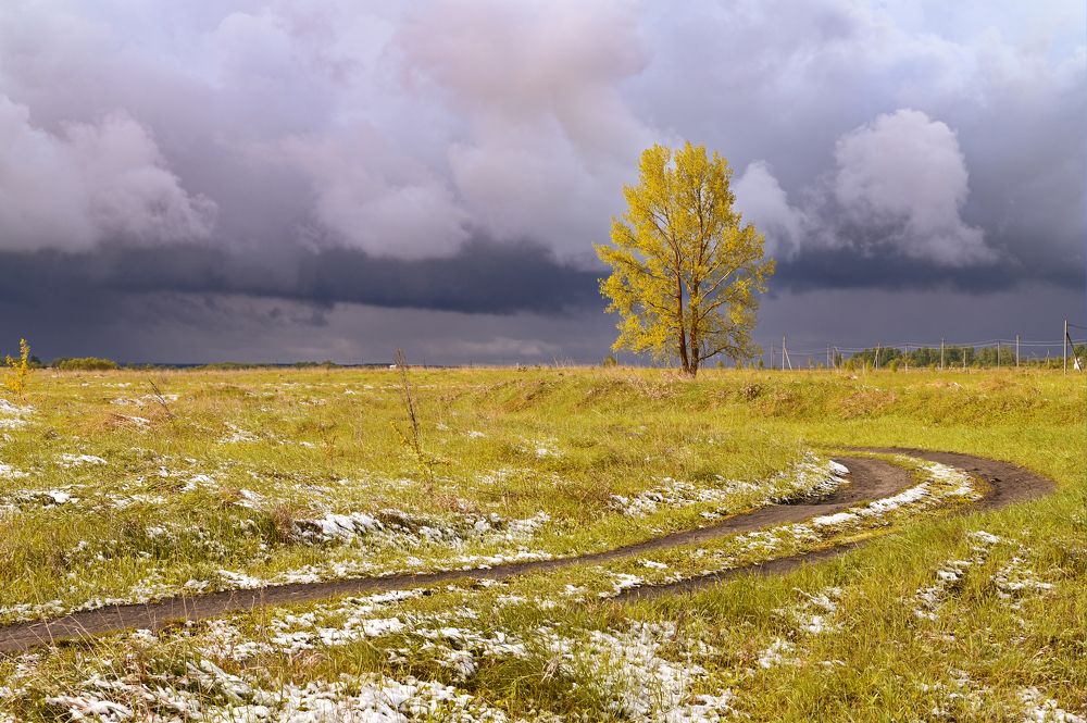 Весенние контрасты