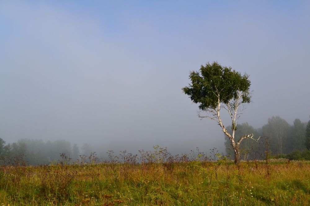 Photograph by Kirill Frolov