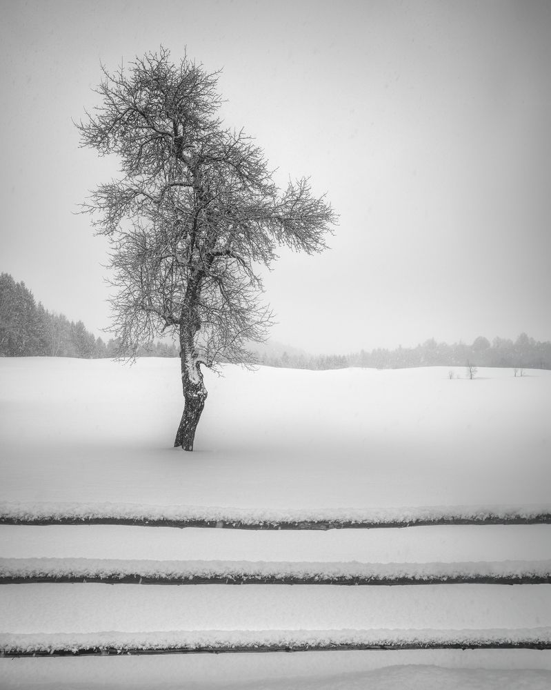 Photograph by Anastasios Gialopoulos