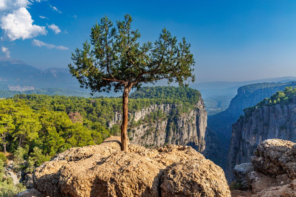 Photograph by Людмила Аксенова