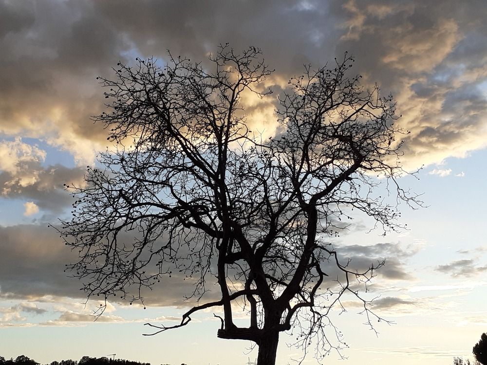 Фотография автора Angelo Dolci