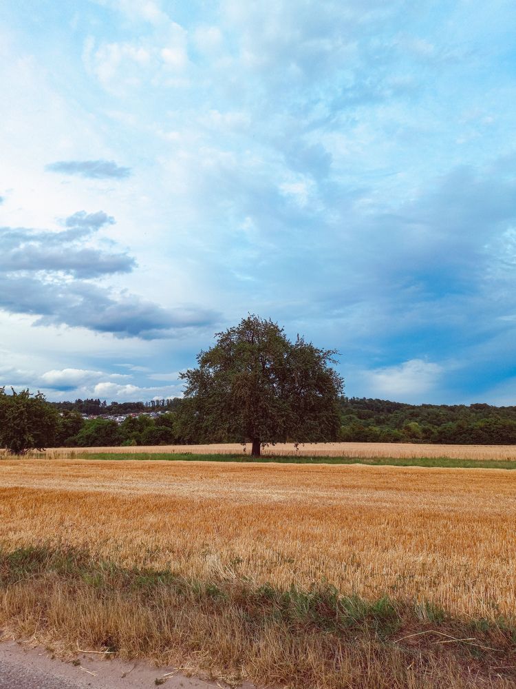 Фотография автора Валерия Правдюк